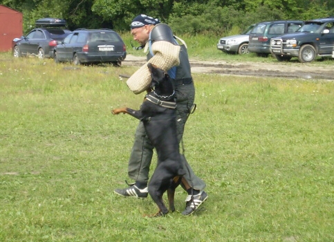 Training in Estonia 6/2007